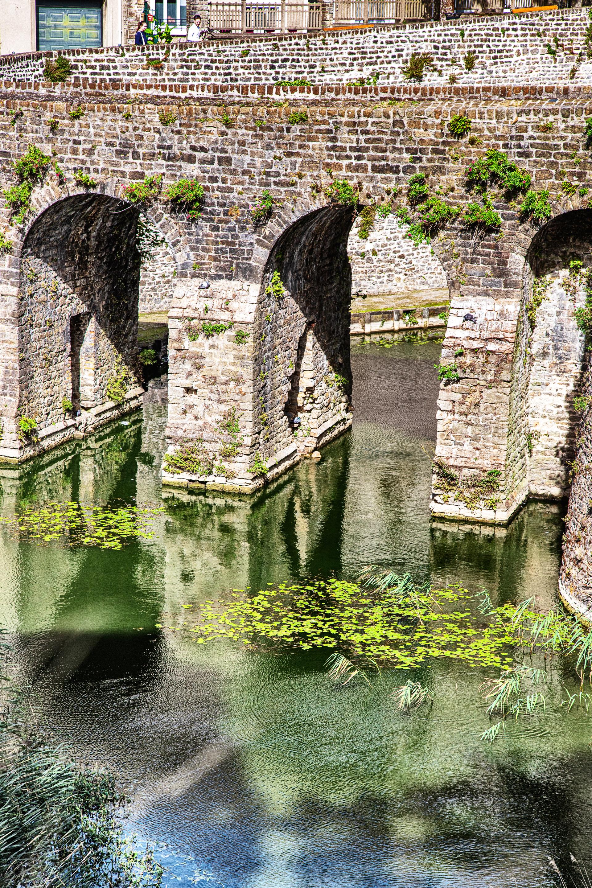 Foto 483